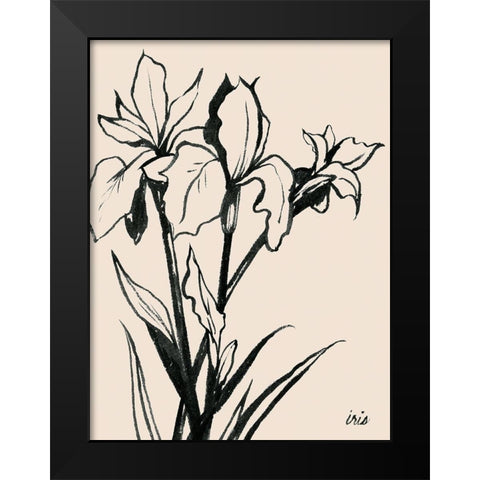 Iris Sketch III Black Modern Wood Framed Art Print by Popp, Grace