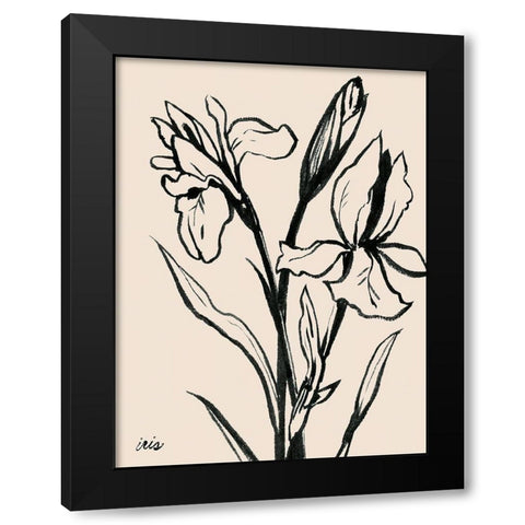 Iris Sketch IV Black Modern Wood Framed Art Print by Popp, Grace