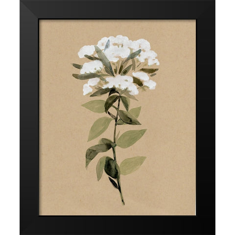 White Wildflower II Black Modern Wood Framed Art Print by Warren, Annie
