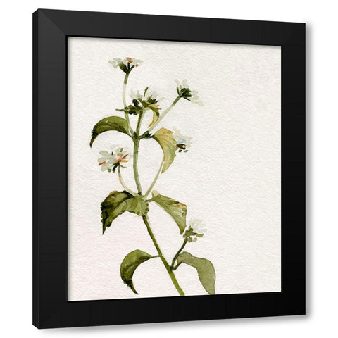 White Antique Wildflower I Black Modern Wood Framed Art Print with Double Matting by Caroline, Emma