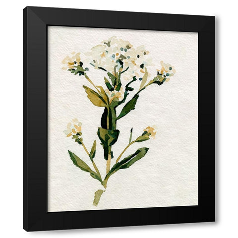 White Antique Wildflower II Black Modern Wood Framed Art Print with Double Matting by Caroline, Emma