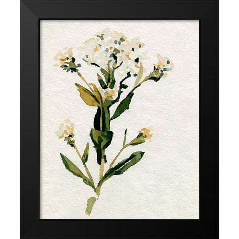 White Antique Wildflower II Black Modern Wood Framed Art Print by Caroline, Emma