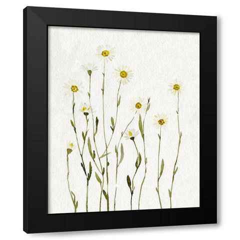 White Antique Daisies I Black Modern Wood Framed Art Print by Caroline, Emma