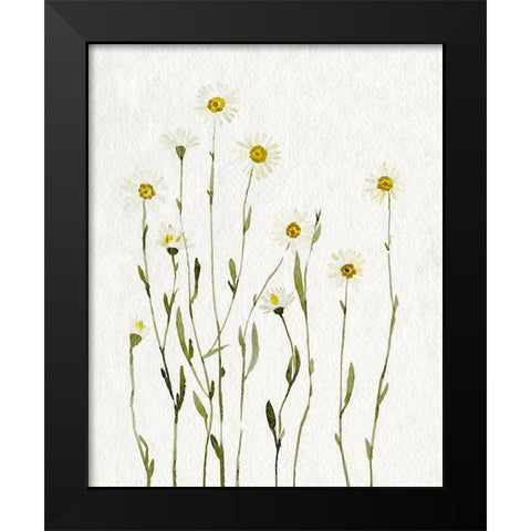 White Antique Daisies I Black Modern Wood Framed Art Print by Caroline, Emma