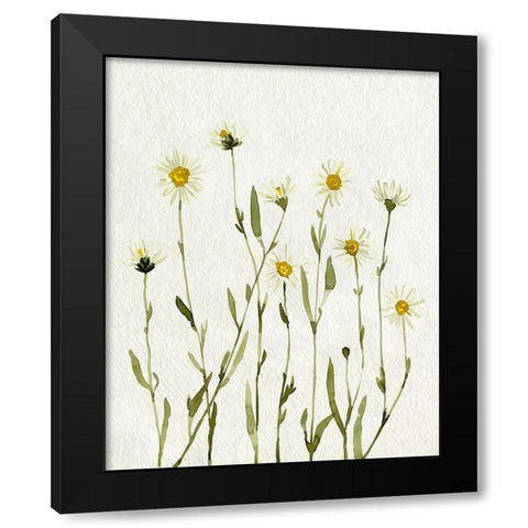 White Antique Daisies II Black Modern Wood Framed Art Print by Caroline, Emma