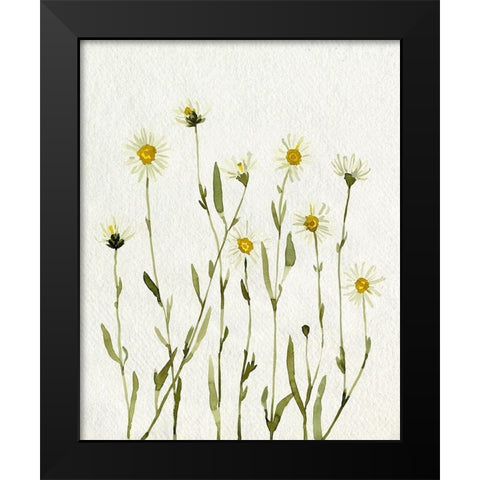 White Antique Daisies II Black Modern Wood Framed Art Print by Caroline, Emma