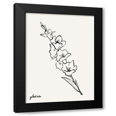 Gladiola Sketch I Black Modern Wood Framed Art Print by Popp, Grace