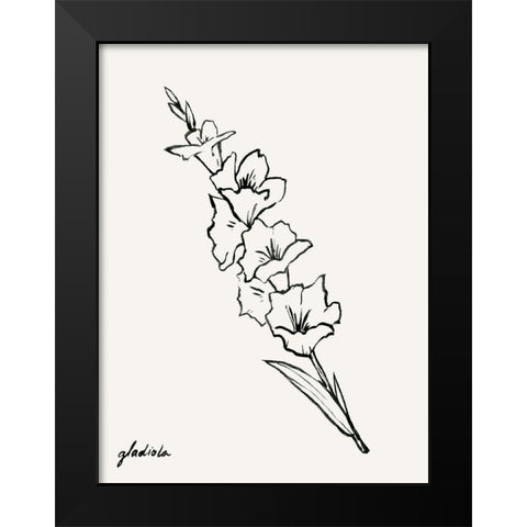 Gladiola Sketch I Black Modern Wood Framed Art Print by Popp, Grace