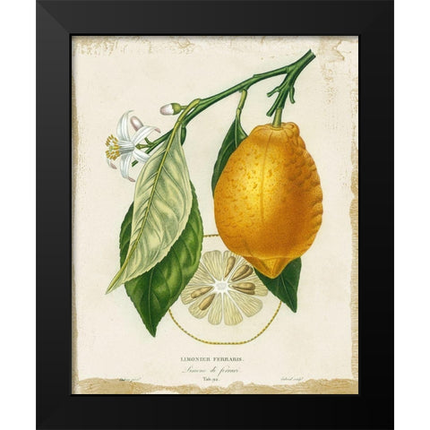 French Lemon II Black Modern Wood Framed Art Print by Studio W