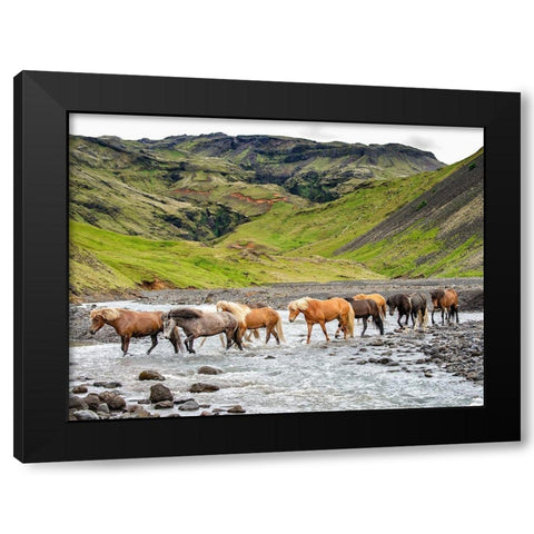 Collection of Horses II Black Modern Wood Framed Art Print with Double Matting by PHBurchett