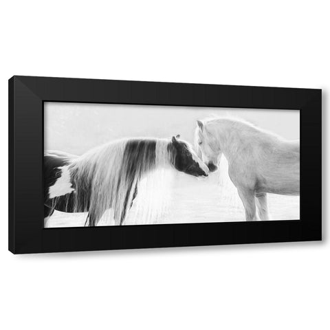 Collection of Horses III Black Modern Wood Framed Art Print with Double Matting by PHBurchett