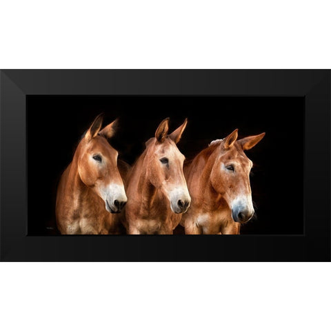 Collection of Horses IV Black Modern Wood Framed Art Print by PHBurchett