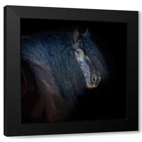 Collection of Horses VI Black Modern Wood Framed Art Print by PHBurchett