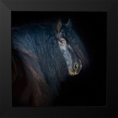 Collection of Horses VI Black Modern Wood Framed Art Print by PHBurchett