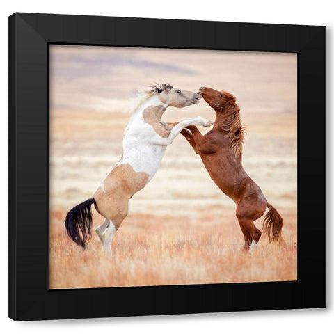 Collection of Horses VIII Black Modern Wood Framed Art Print by PHBurchett