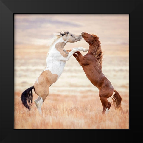 Collection of Horses VIII Black Modern Wood Framed Art Print by PHBurchett