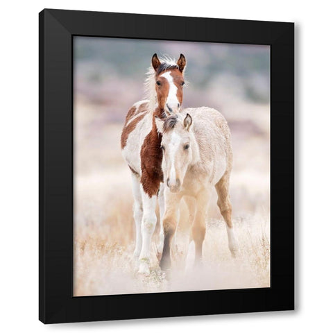Collection of Horses X Black Modern Wood Framed Art Print with Double Matting by PHBurchett