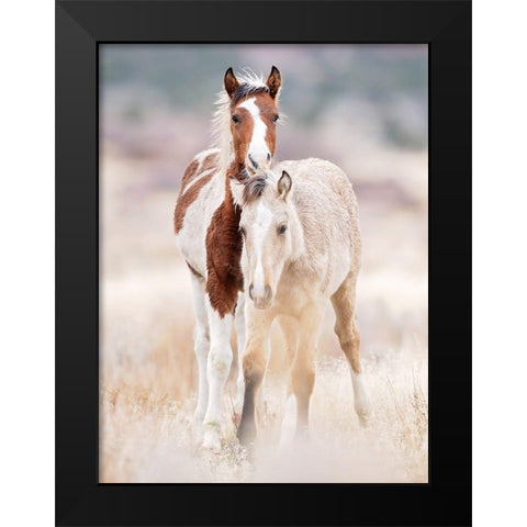 Collection of Horses X Black Modern Wood Framed Art Print by PHBurchett
