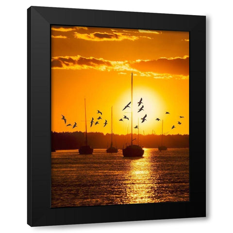 Water and Land II Black Modern Wood Framed Art Print by PHBurchett