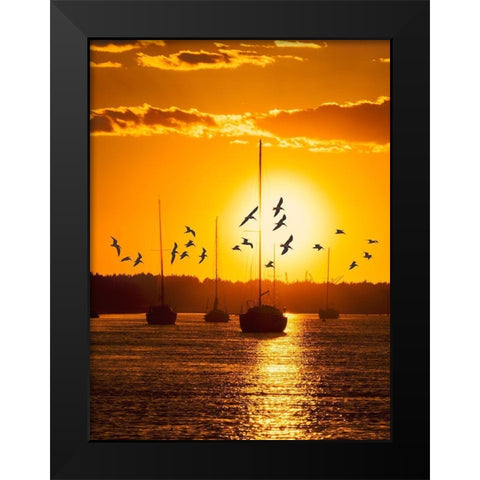 Water and Land II Black Modern Wood Framed Art Print by PHBurchett