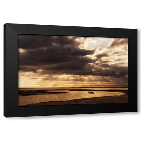 Water and Land IV Black Modern Wood Framed Art Print by PHBurchett