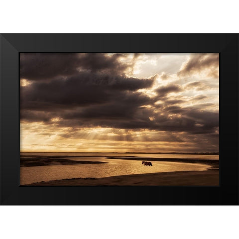 Water and Land IV Black Modern Wood Framed Art Print by PHBurchett
