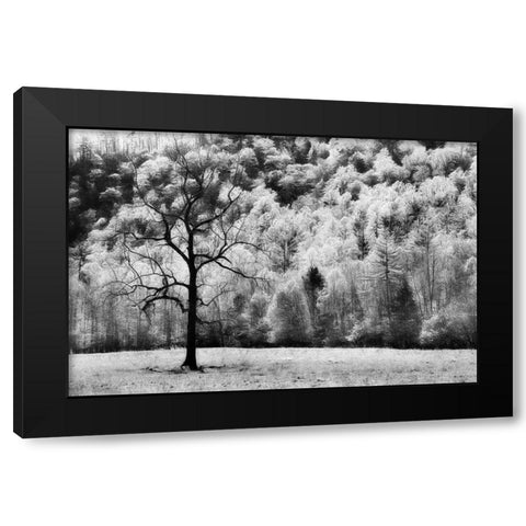 Water and Land VI Black Modern Wood Framed Art Print by PHBurchett