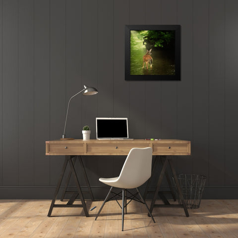 Water and Land VII Black Modern Wood Framed Art Print by PHBurchett