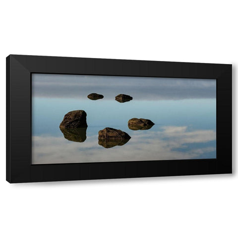 Water and Land VIII Black Modern Wood Framed Art Print by PHBurchett