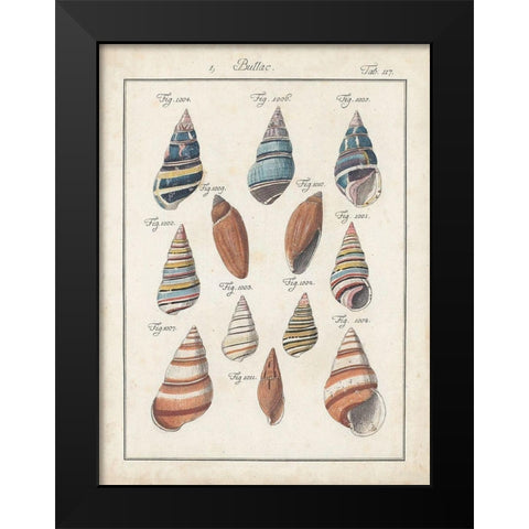 Antique Shell Pair I Black Modern Wood Framed Art Print by Deseve, Jacques