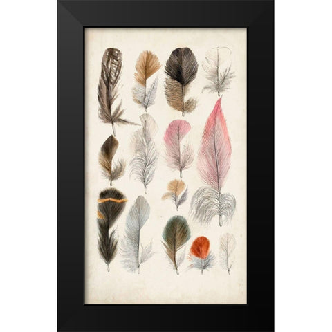 Antique Bird Feathers III Black Modern Wood Framed Art Print by Unknown