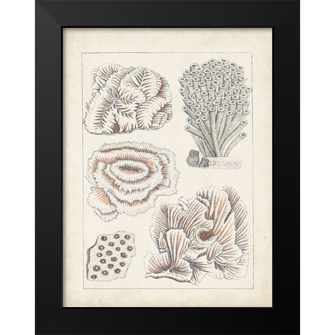 Antique White Coral I Black Modern Wood Framed Art Print by Vision Studio