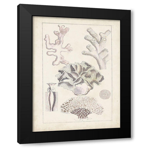 Antique White Coral IV Black Modern Wood Framed Art Print with Double Matting by Vision Studio