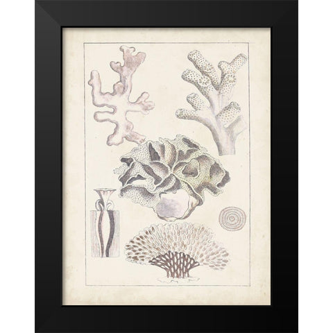 Antique White Coral IV Black Modern Wood Framed Art Print by Vision Studio