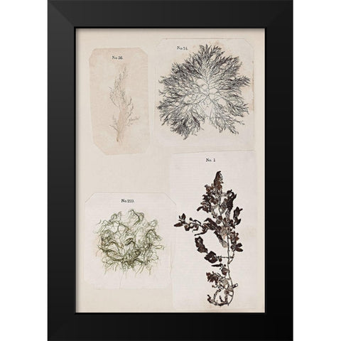 Coral Collage V Black Modern Wood Framed Art Print by Vision Studio