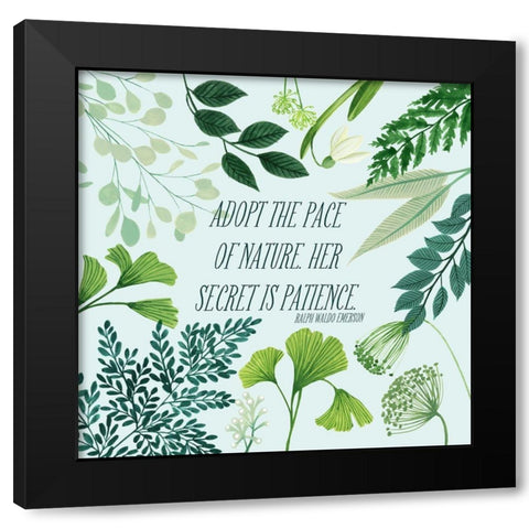 Natural Bliss II Black Modern Wood Framed Art Print by Popp, Grace