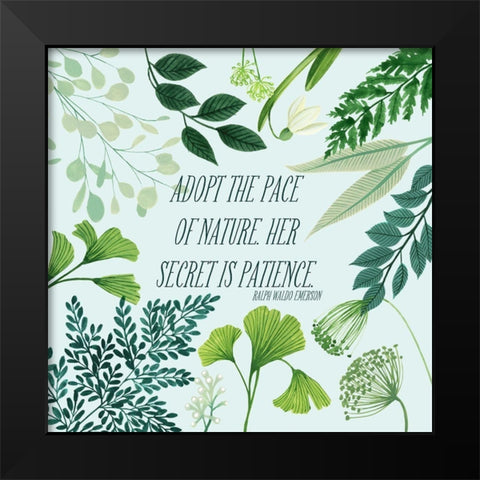 Natural Bliss II Black Modern Wood Framed Art Print by Popp, Grace