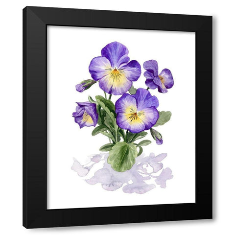 Viola Pansies I Black Modern Wood Framed Art Print by Popp, Grace