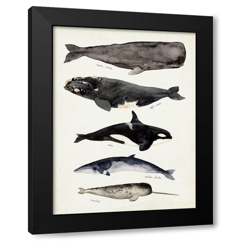 Whale Chart I Black Modern Wood Framed Art Print by Barnes, Victoria