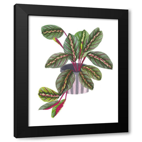 Prayer Plant II Black Modern Wood Framed Art Print with Double Matting by Wang, Melissa