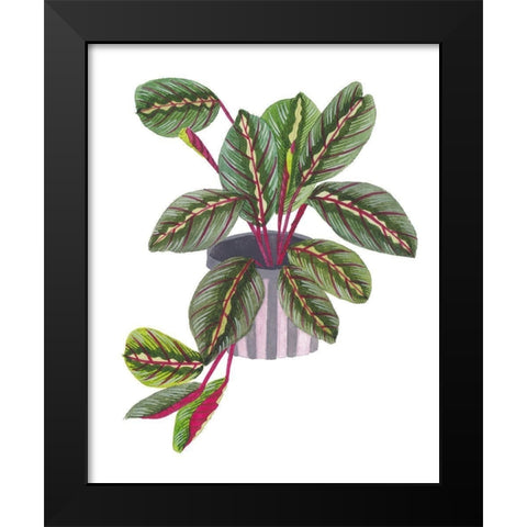 Prayer Plant II Black Modern Wood Framed Art Print by Wang, Melissa