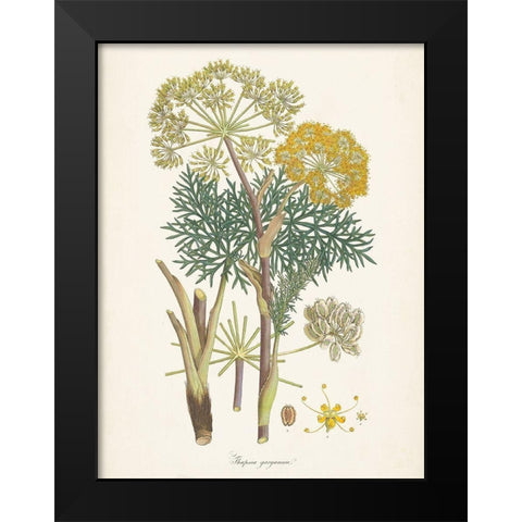 Saffron Botanicals I Black Modern Wood Framed Art Print by Unknown