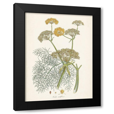 Saffron Botanicals II Black Modern Wood Framed Art Print by Unknown