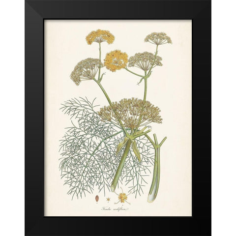 Saffron Botanicals II Black Modern Wood Framed Art Print by Unknown