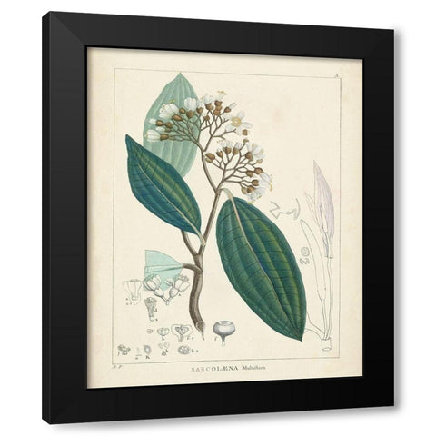 Vintage Verdure I Black Modern Wood Framed Art Print by Unknown