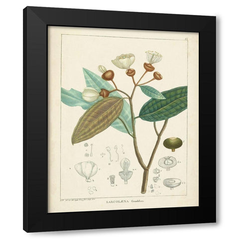 Vintage Verdure III Black Modern Wood Framed Art Print with Double Matting by Unknown