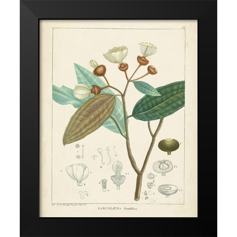 Vintage Verdure III Black Modern Wood Framed Art Print by Unknown