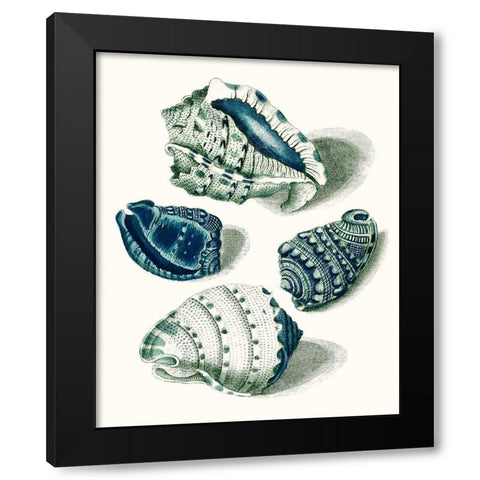 Celadon Shells I Black Modern Wood Framed Art Print with Double Matting by Vision Studio