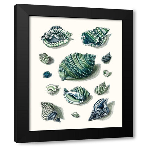 Celadon Shells II Black Modern Wood Framed Art Print with Double Matting by Vision Studio