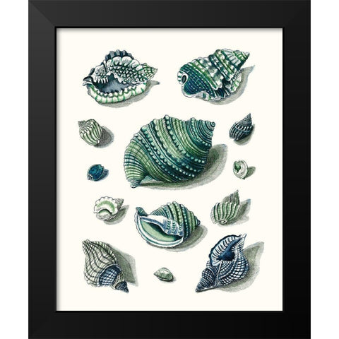 Celadon Shells II Black Modern Wood Framed Art Print by Vision Studio